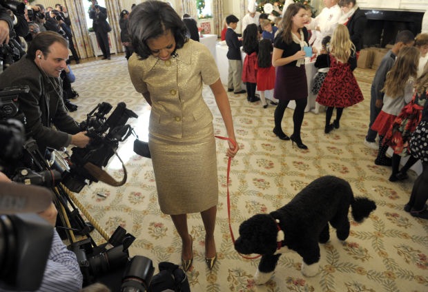 Bo the White House dog